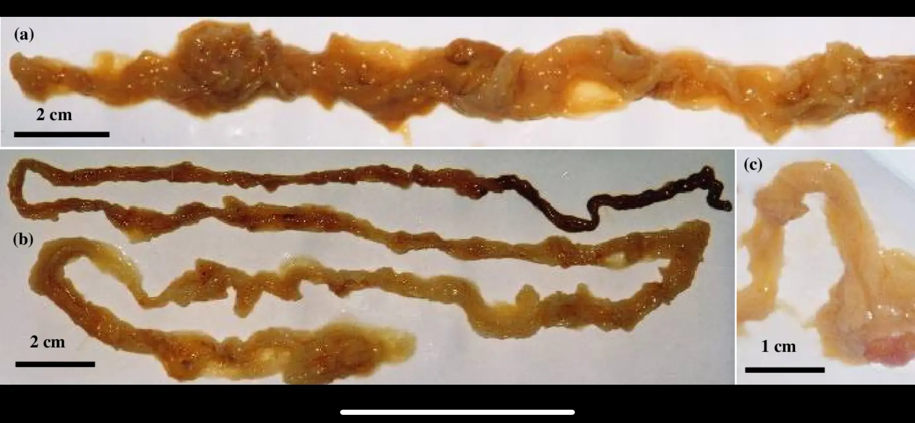 image - 2025-05-23T161315